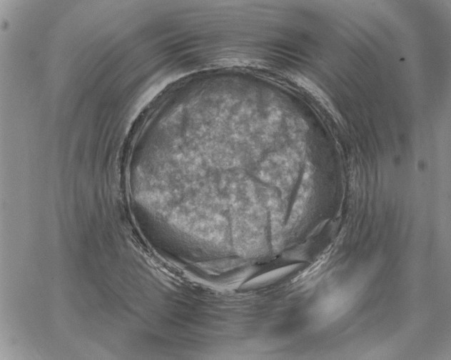 X0000066021023200603241530