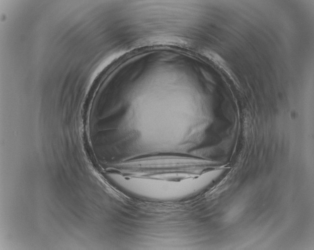 X0000066021024200603241530