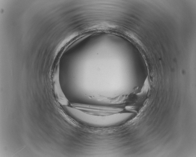 X0000066021026200603241530