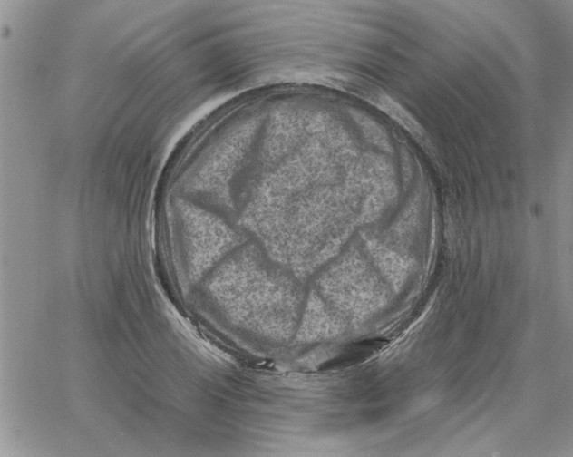 X0000066021028200603241530