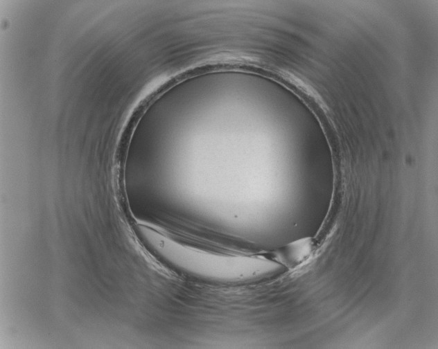 X0000066021029200603241530