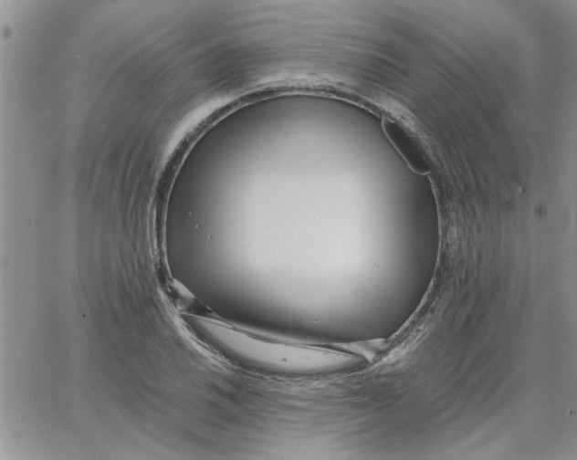 X0000066021030200603241530