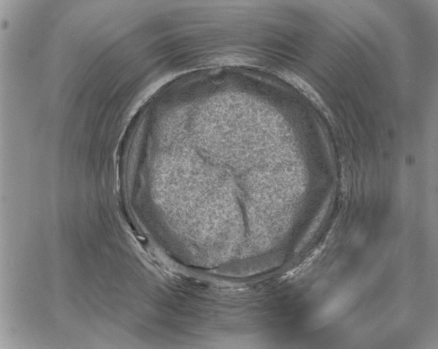 X0000066021031200603241530