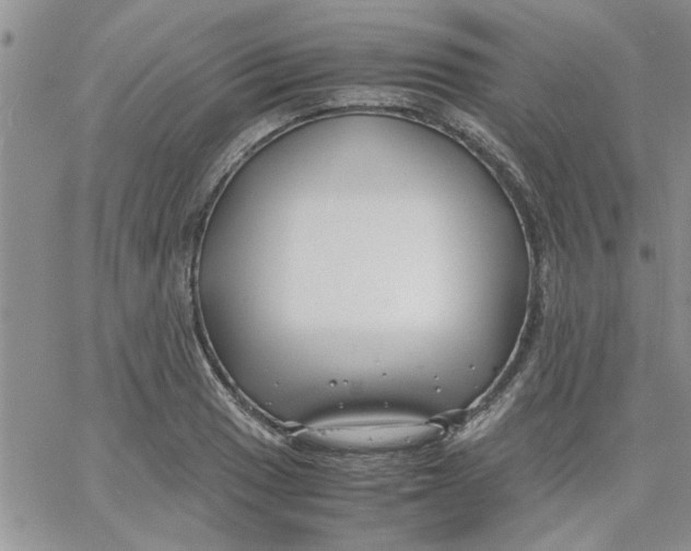 X0000066021033200603241530