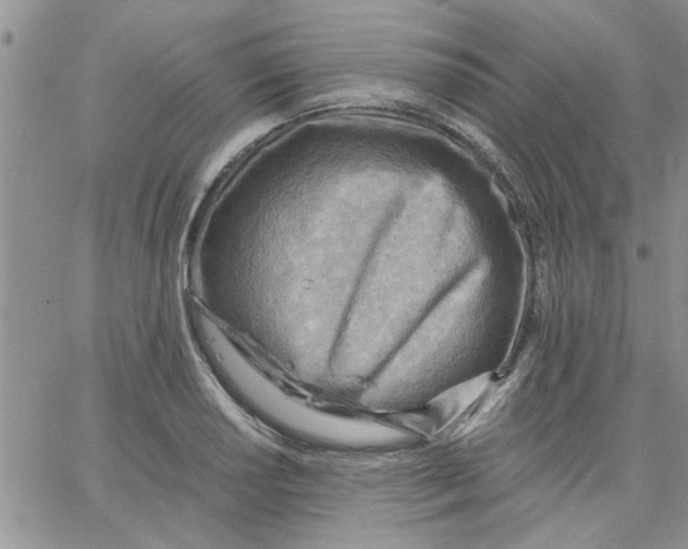 X0000066021034200603241530