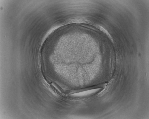 X0000066021035200603241530