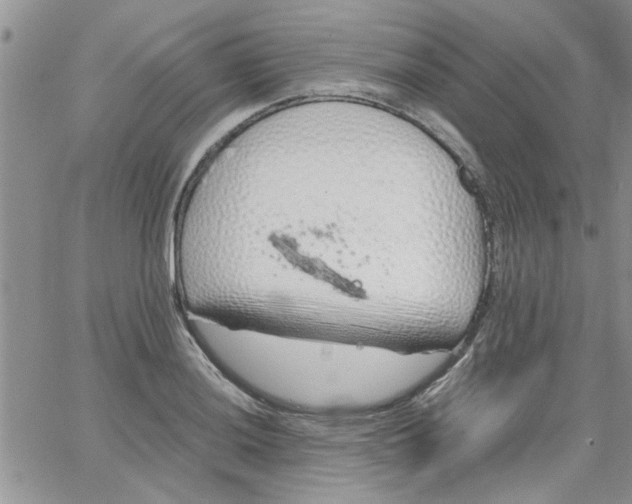 X0000066021036200603241530