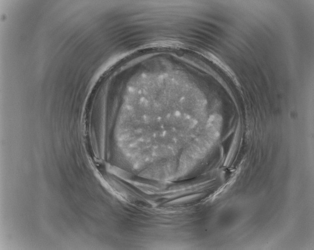 X0000066021037200603241530