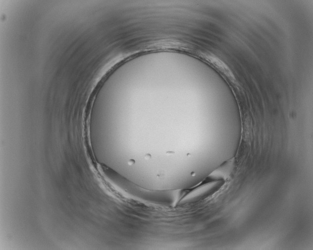 X0000066021039200603241530