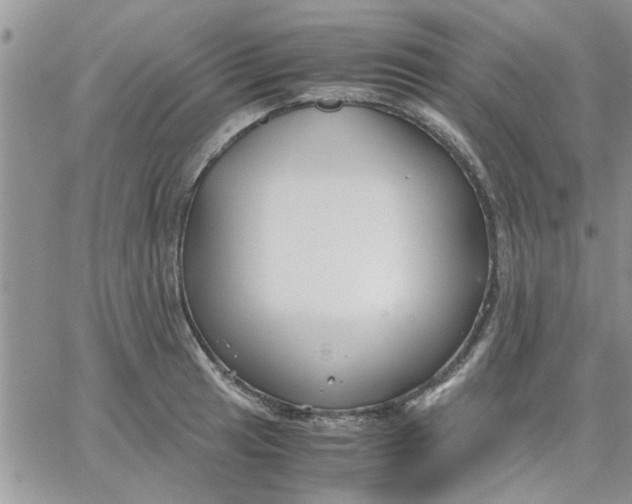 X0000066021041200603241530