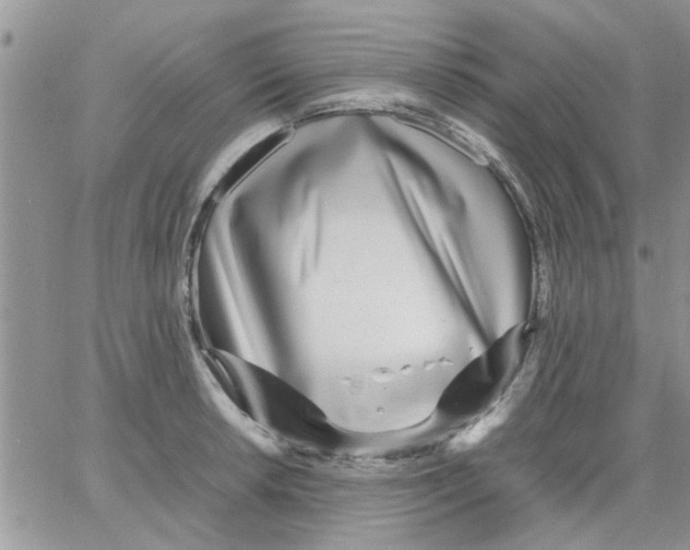 X0000066021042200603241530