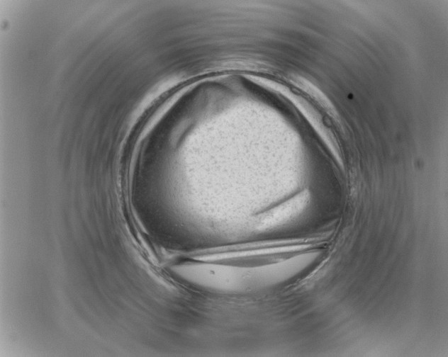 X0000066021043200603241530