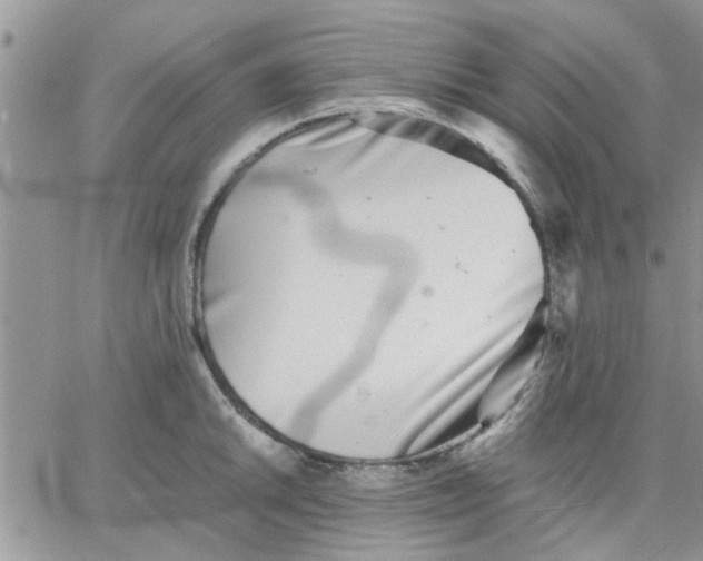 X0000066021046200603241530