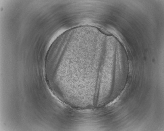 X0000066021048200603241530