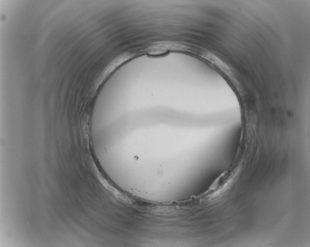 X0000066021049200603241530