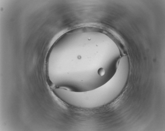 X0000066021050200603241530