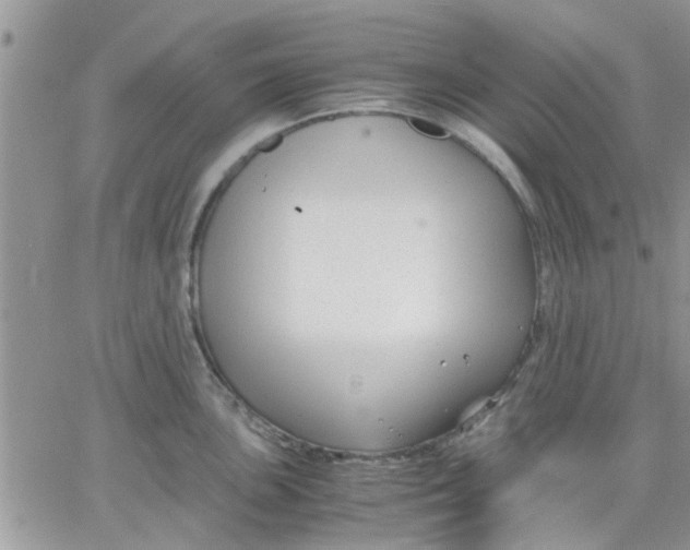 X0000066021051200603241530