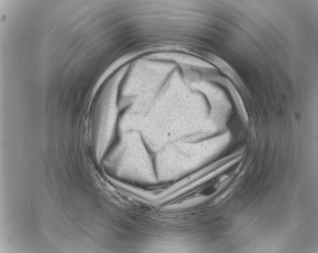 X0000066021052200603241530