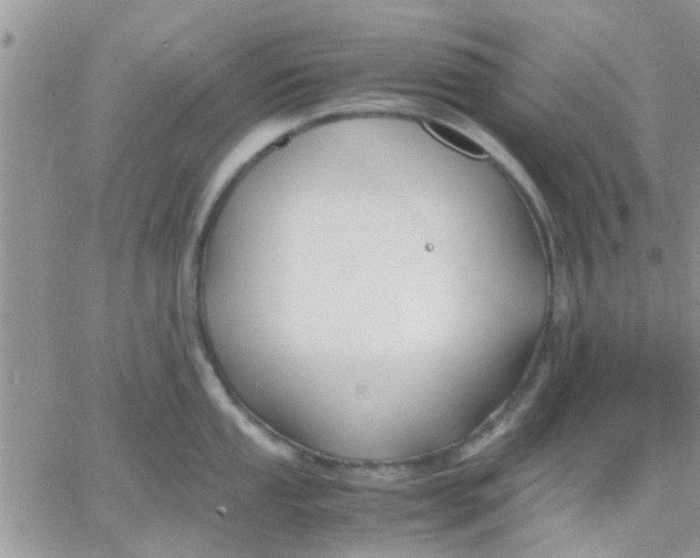 X0000066021053200603241530