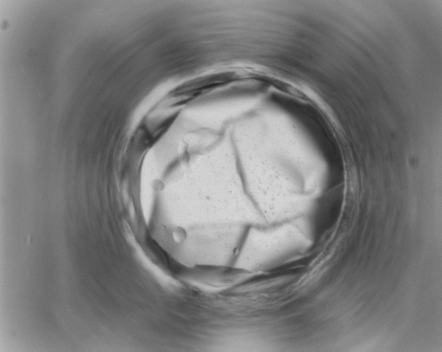 X0000066021054200603241530