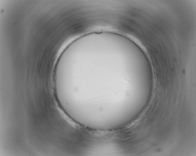 X0000066021056200603241530