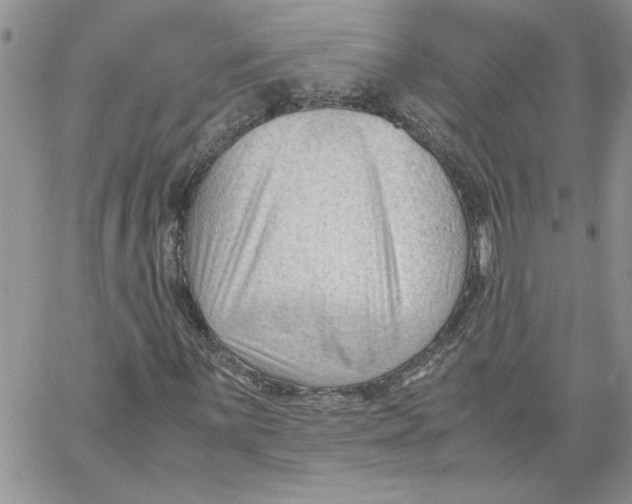 X0000066021059200603241529