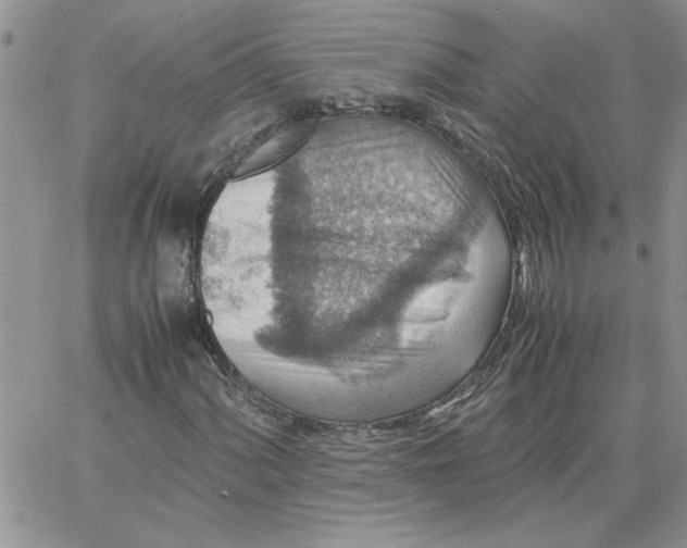 X0000066021060200603241529