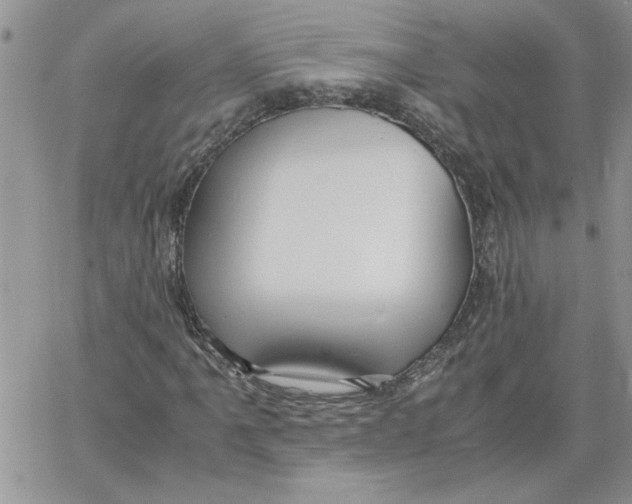 X0000066021061200603241529