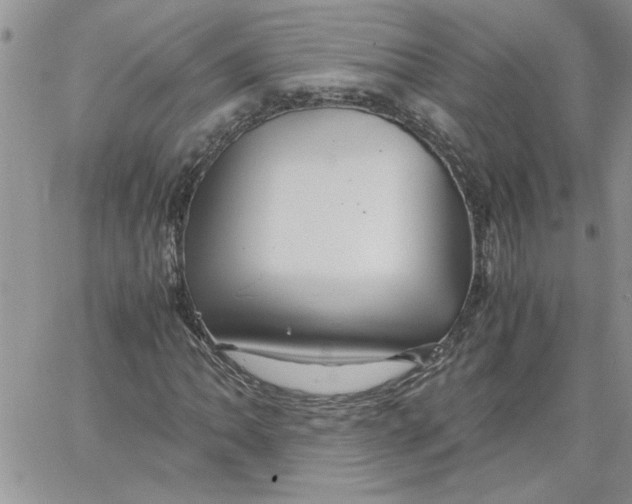 X0000066021062200603241529