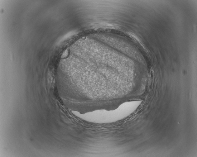 X0000066021063200603241529