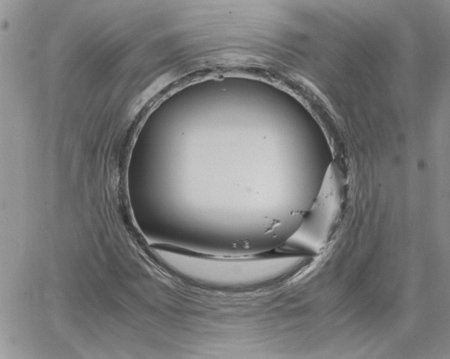 X0000066021065200603241529