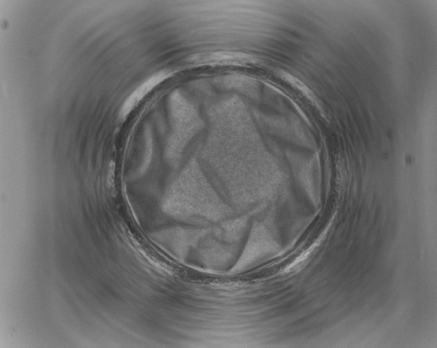 X0000066021066200603241529