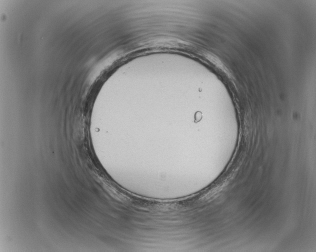 X0000066021067200603241529