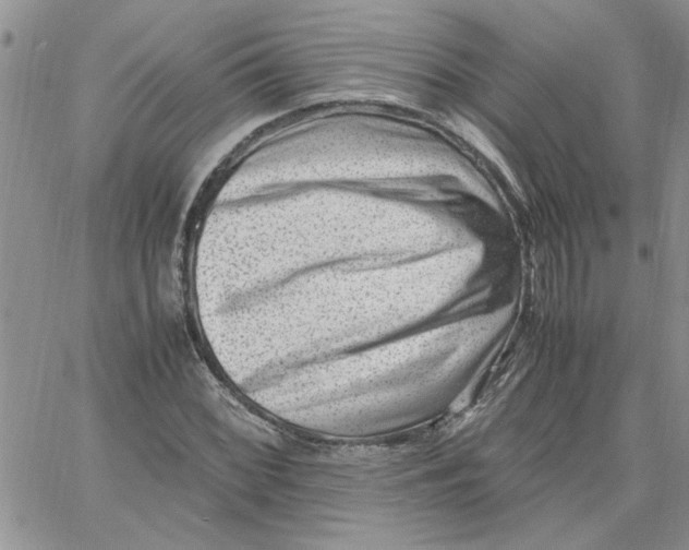 X0000066021068200603241529