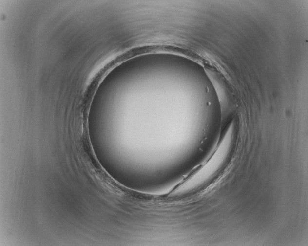 X0000066021069200603241529