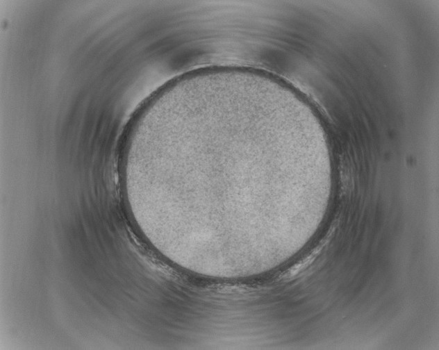 X0000066021070200603241529