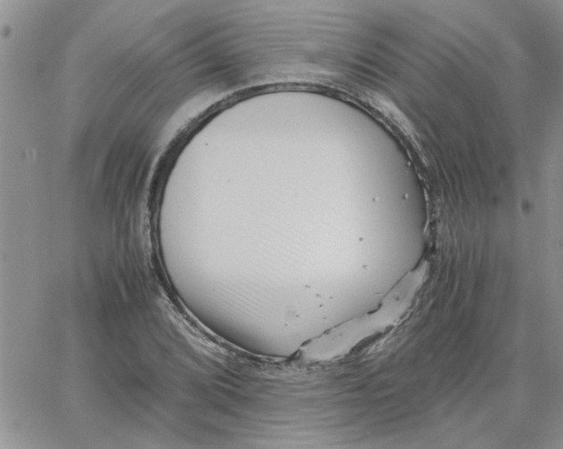 X0000066021072200603241529