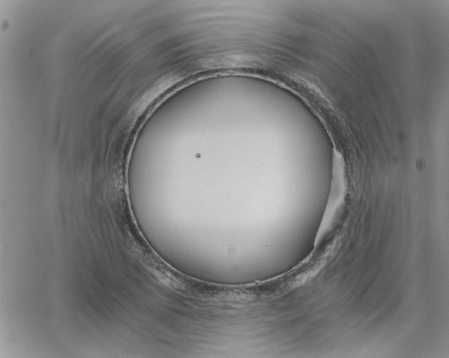 X0000066021073200603241529