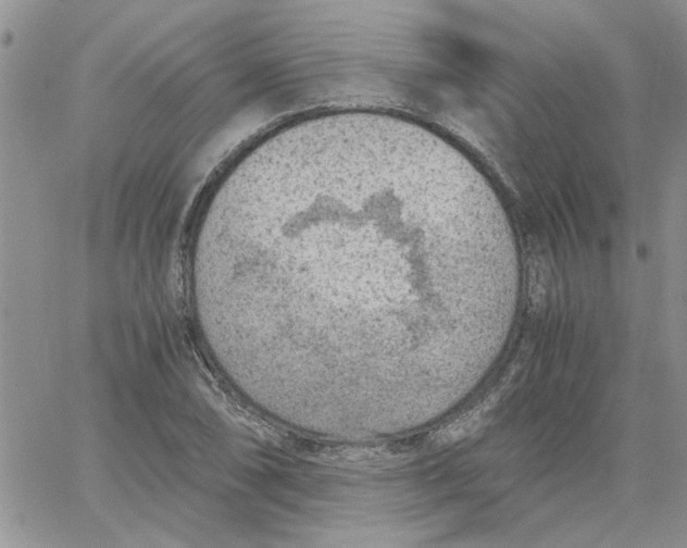 X0000066021074200603241529