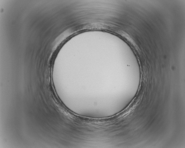 X0000066021075200603241529