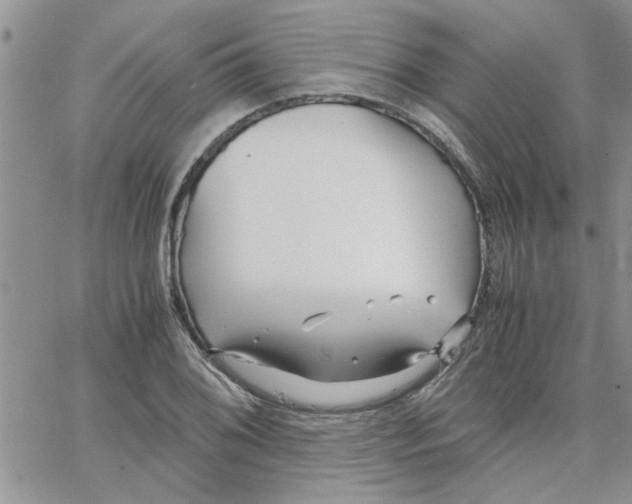 X0000066021076200603241529