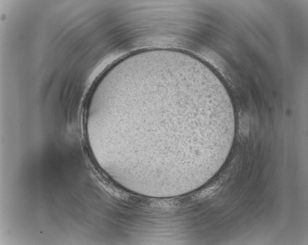 X0000066021078200603241529