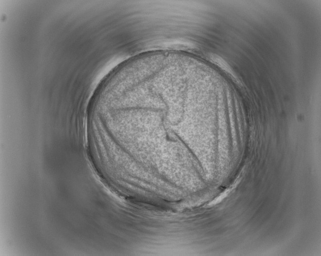 X0000066021079200603241529