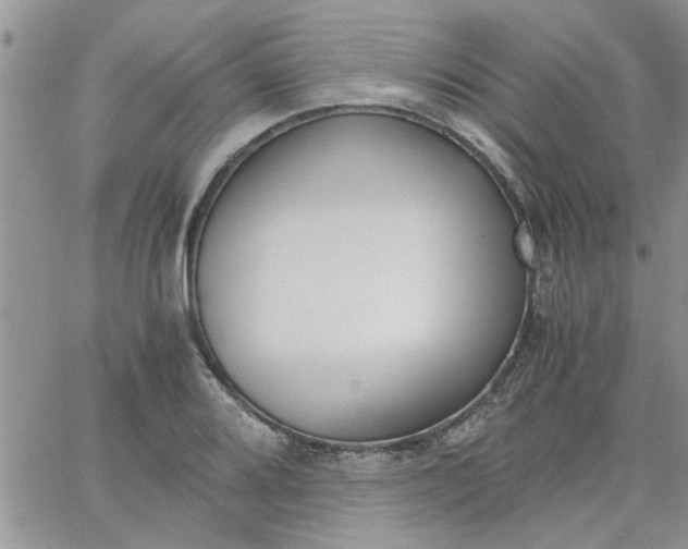 X0000066021080200603241529