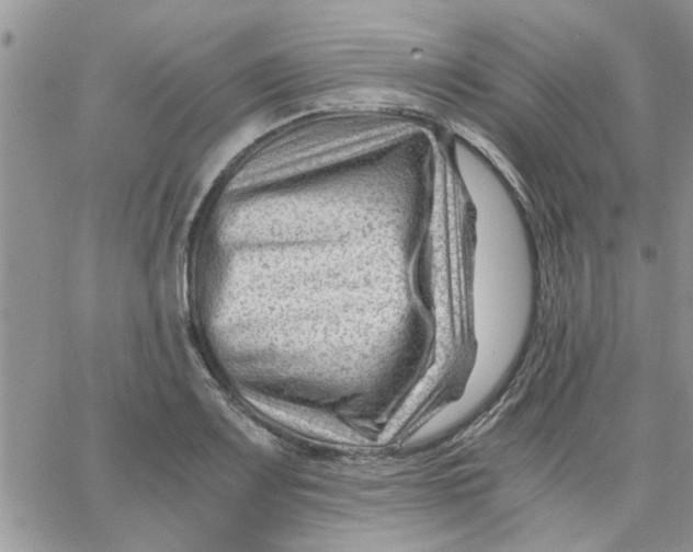 X0000066021083200603241529