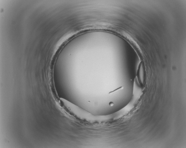 X0000066021085200603241529