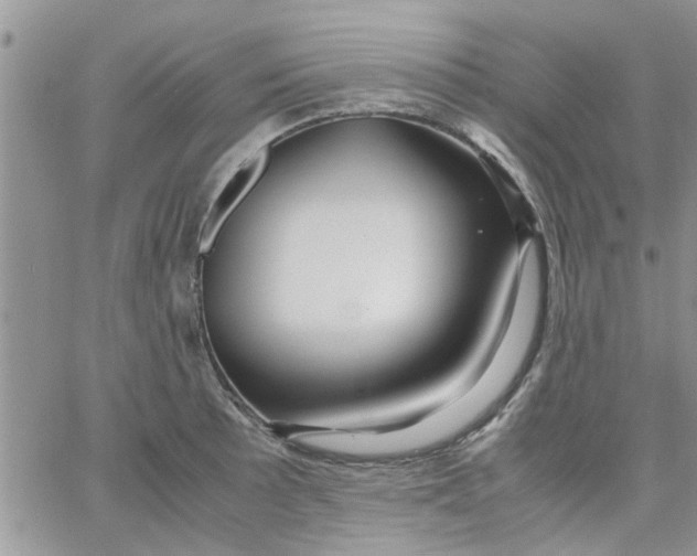 X0000066021089200603241529