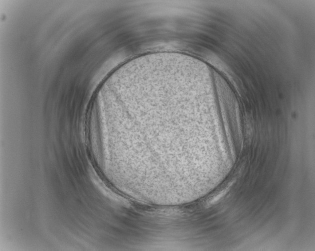 X0000066021090200603241529