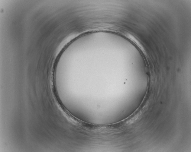 X0000066021093200603241529