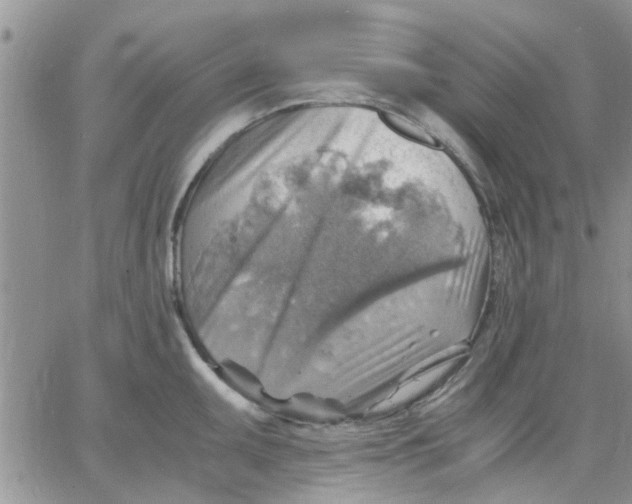 X0000066021095200603241529